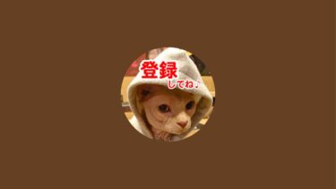 【リアル犬猫保護活動】にゃいるどはーと がライブ配信中！【kokesukepapa】